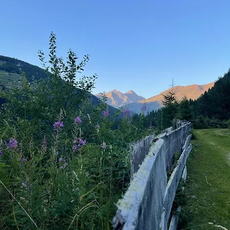 アパート Alpenfels - Zwieselstein *