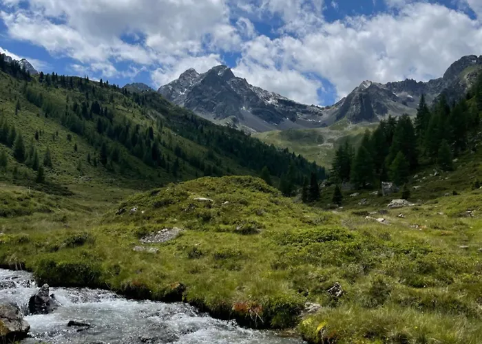 Alpenfels - Zwieselstein Διαμέρισμα *