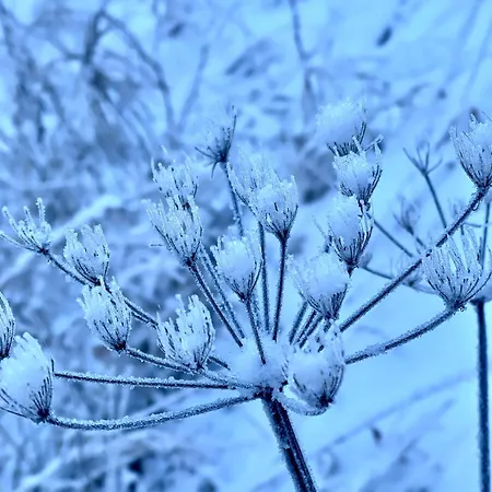 Alpenfels Zwieselstein * Sölden