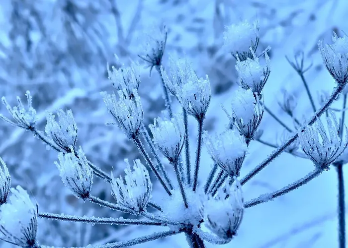 Alpenfels - Zwieselstein * 솔덴