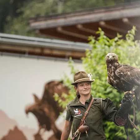 Apartament Alpenfels - Zwieselstein